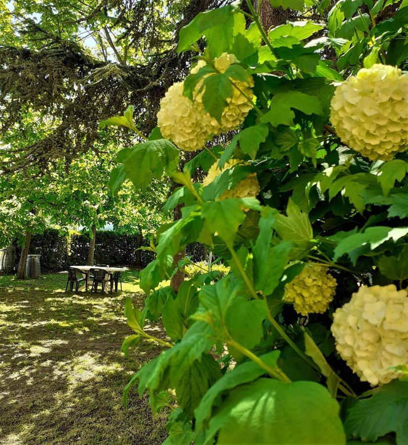 Hotel Prato Verde Polinago Екстериор снимка